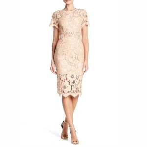 NSR Lace Short Sleeve Sheath Midi Dress